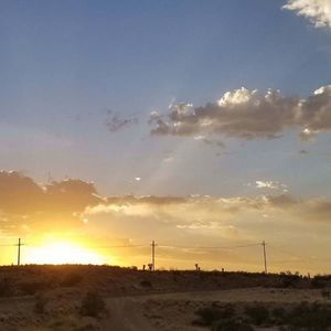 Meet your Posher, Audrey